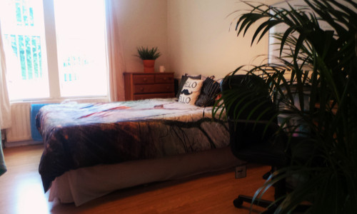 Bedroom thumbnail